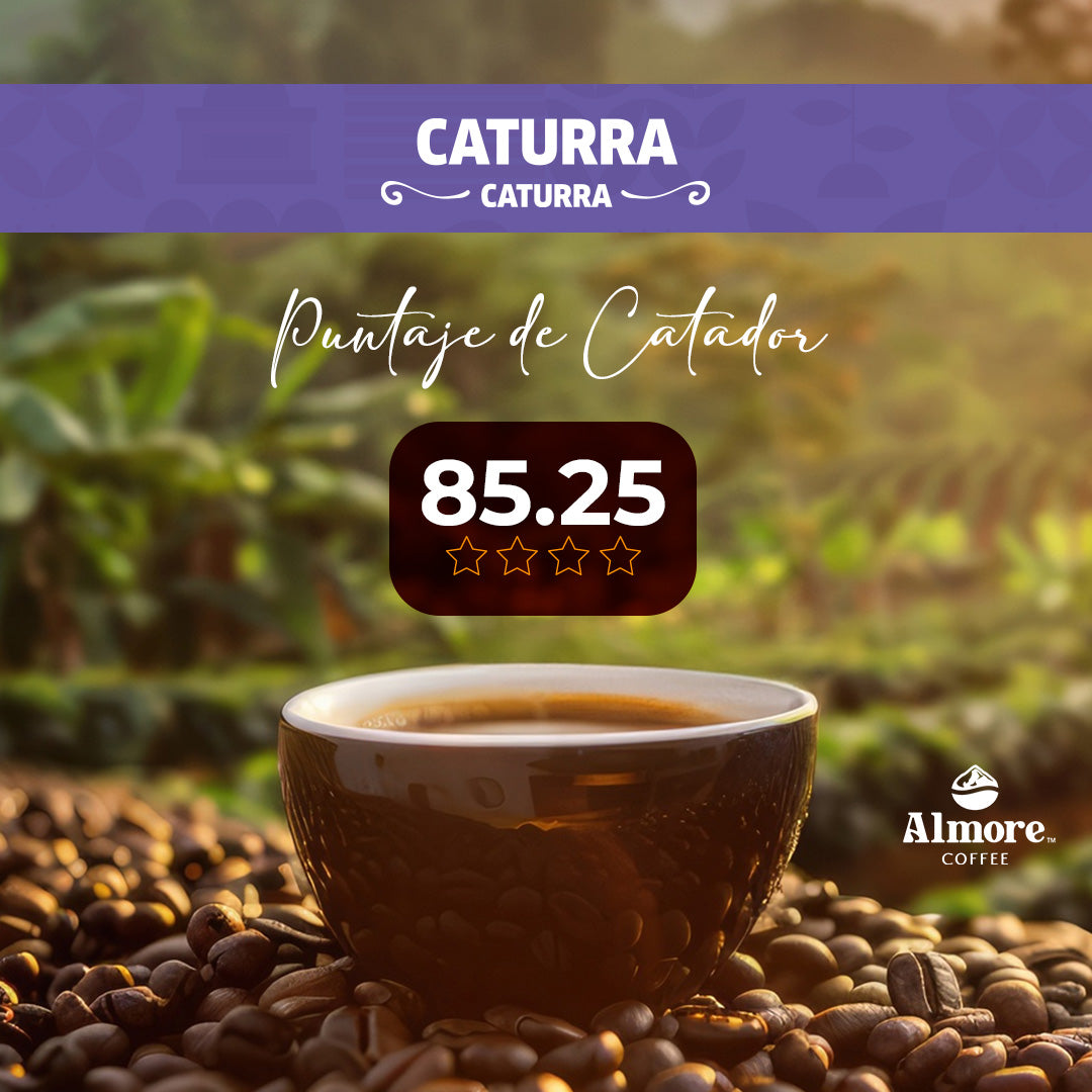 Caturra Coffee 227 grams.